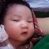 Ứng