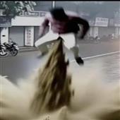 Trự