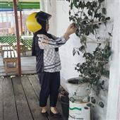 Cuố