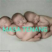 Dự 