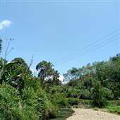 Quả