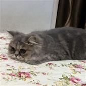 Mon
