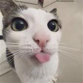 Phú