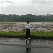 Vận