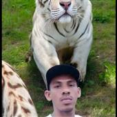 Các