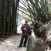 Hiệ
