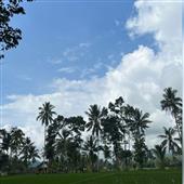 Học