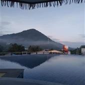 Trự