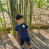Bản