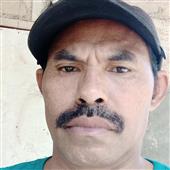 cúp