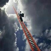 Bón