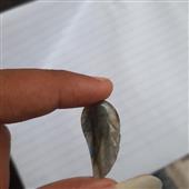 Di 