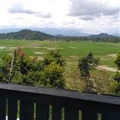 Bản