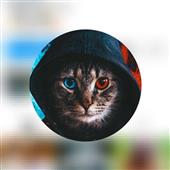 Kèo