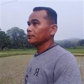Giả
