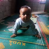 Xem