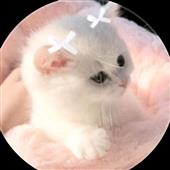 Kẻ 