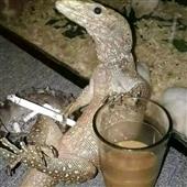 Cas