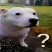 bla