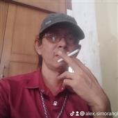 Bản