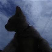 Thù