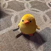 BXH