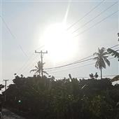 Nữ 