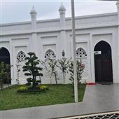 Ngọ
