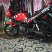 Fli