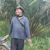 Giả