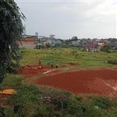 Bài