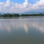 Rùa