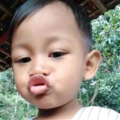 Bản