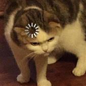 Khu