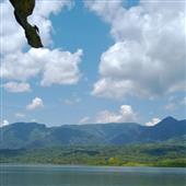 Đại