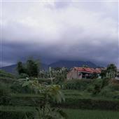 heo