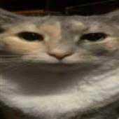 Các