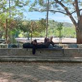 Ngư