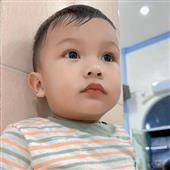 Bản