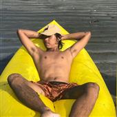 Giả