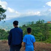 Trự