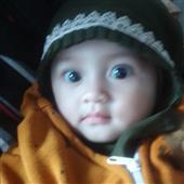 Rou