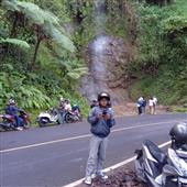 Bầu