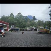 tố