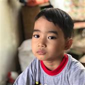 Giả