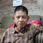 Giả