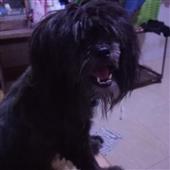Kết
