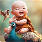 biể