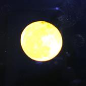 Bộ 