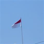 Dự 